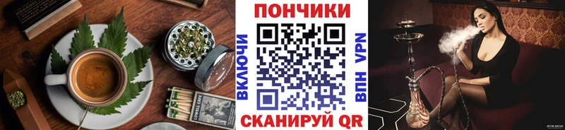 Купить закладки  Рудня  Cannafood конопля 