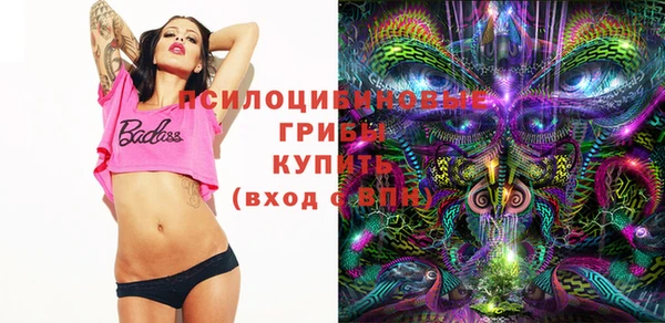 крисы Баксан