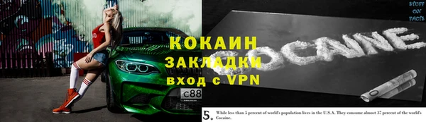крисы Баксан