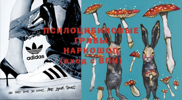 PSILOCYBIN Балахна