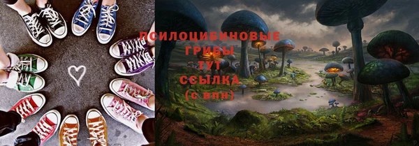 PSILOCYBIN Балахна