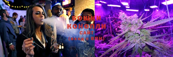 PSILOCYBIN Балахна