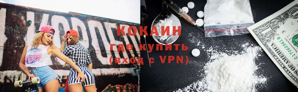 крисы Баксан