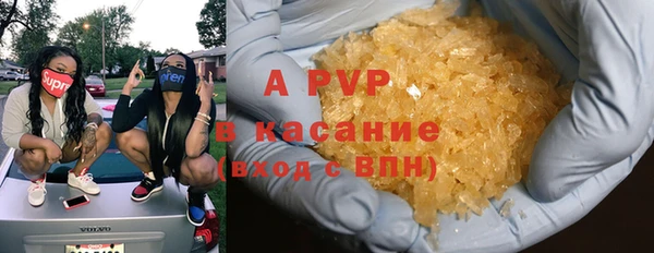 крисы Баксан